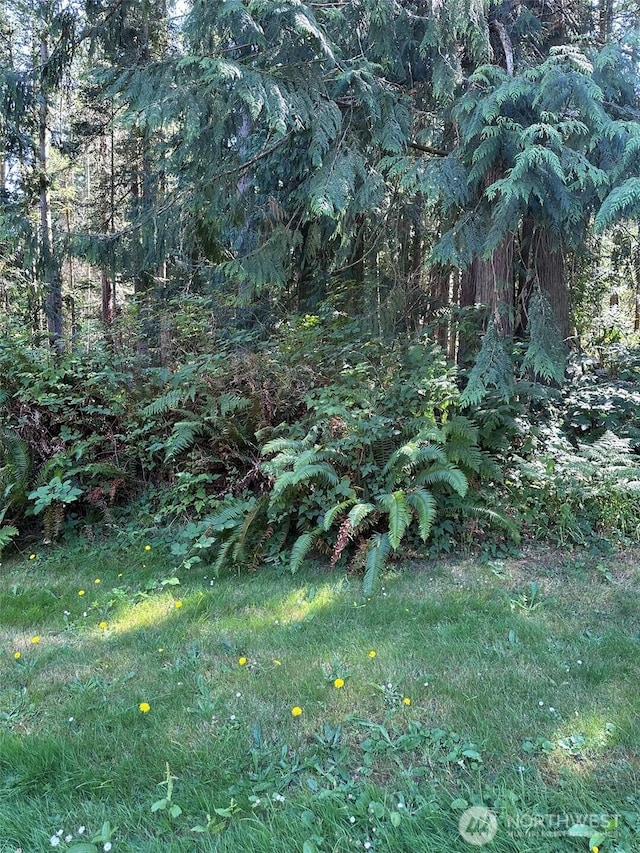 144 Took A Look Ln, Sequim, WA 98382 - photo 35