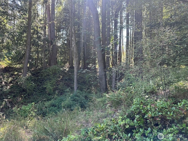 144 Took A Look Ln, Sequim, WA 98382 - photo 36