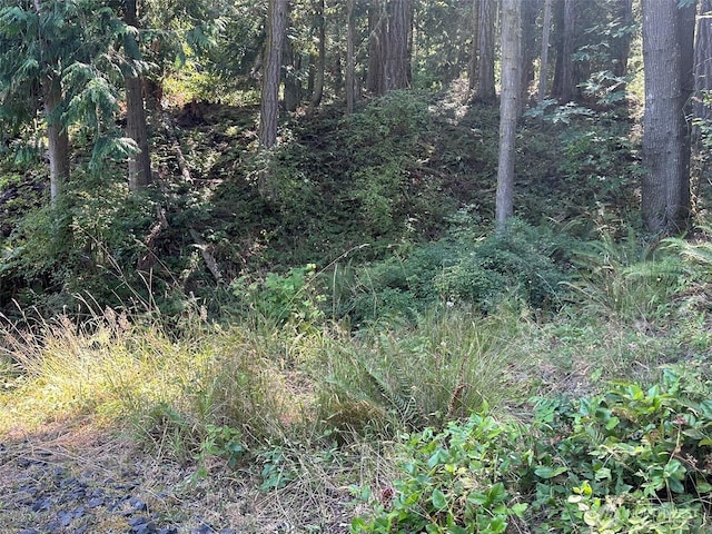 144 Took A Look Ln, Sequim, WA 98382 - photo 37