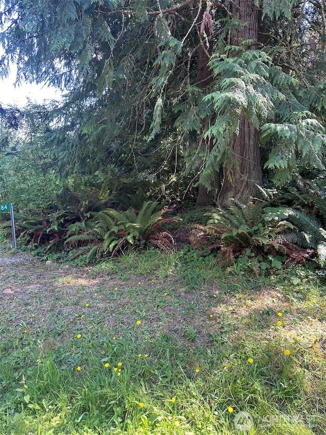 144 Took A Look Ln, Sequim, WA 98382 - photo 38