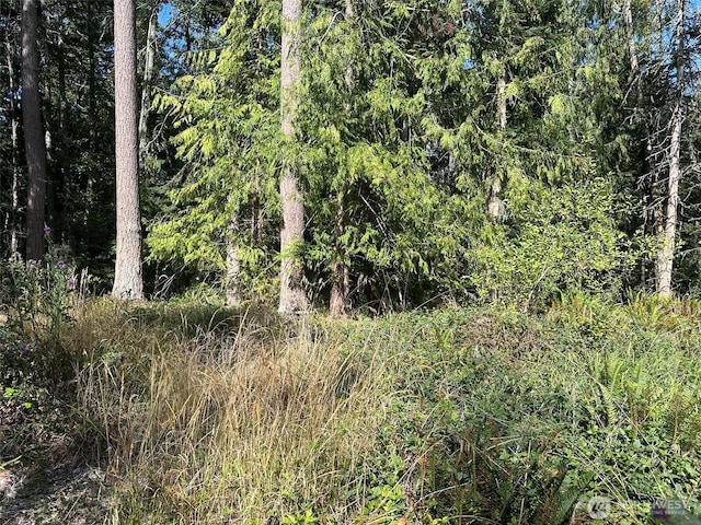 144 Took A Look Ln, Sequim, WA 98382 - photo 39