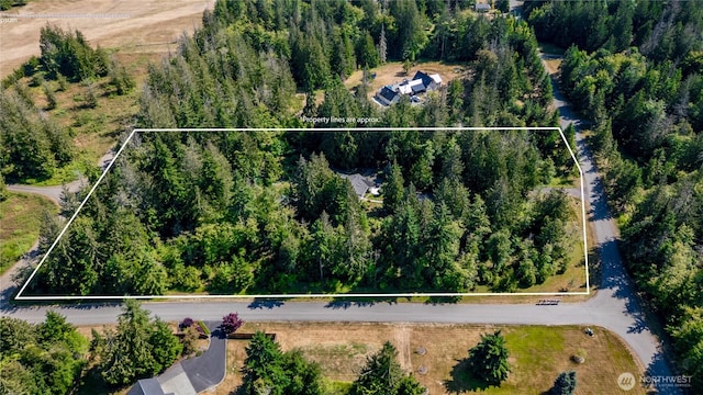 45 S Tara Ln, Port Angeles, WA 98362 - photo 5