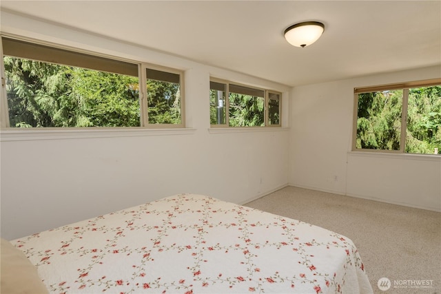 45 S Tara Ln, Port Angeles, WA 98362 - photo 35