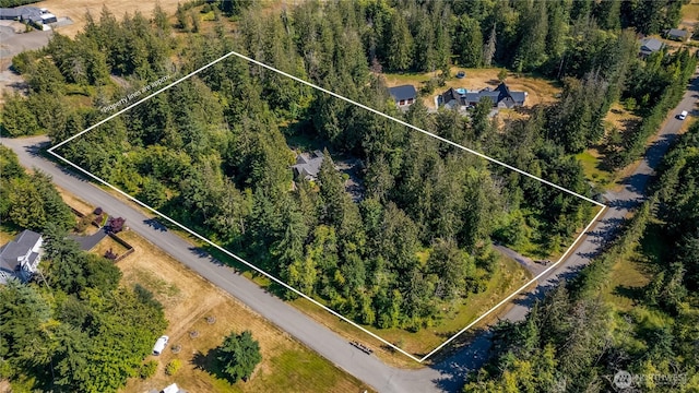 45 S Tara Ln, Port Angeles, WA 98362 - photo 37