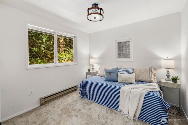 10205 317th Ave NE, Carnation, WA 98014 - photo 19