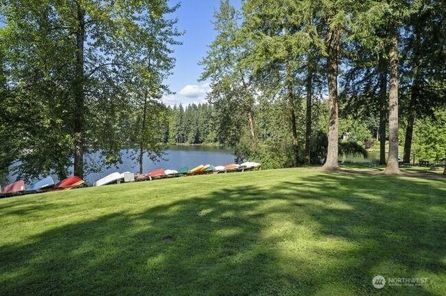 10205 317th Ave NE, Carnation, WA 98014 - photo 34
