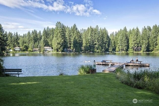 10205 317th Ave NE, Carnation, WA 98014 - photo 35