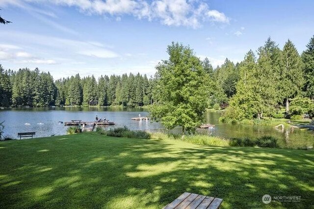 10205 317th Ave NE, Carnation, WA 98014 - photo 36