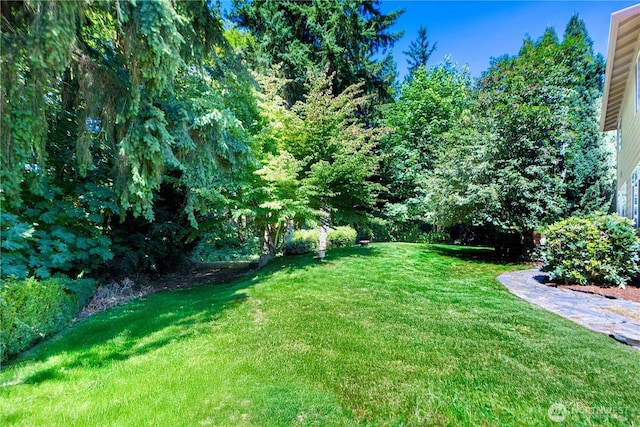 20600 74th Dr SE, Snohomish, WA 98296 - photo 36