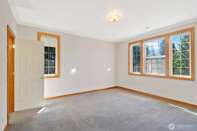 135 Apling Dr, Toledo, WA 98591 - photo 19