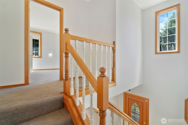 135 Apling Dr, Toledo, WA 98591 - photo 17