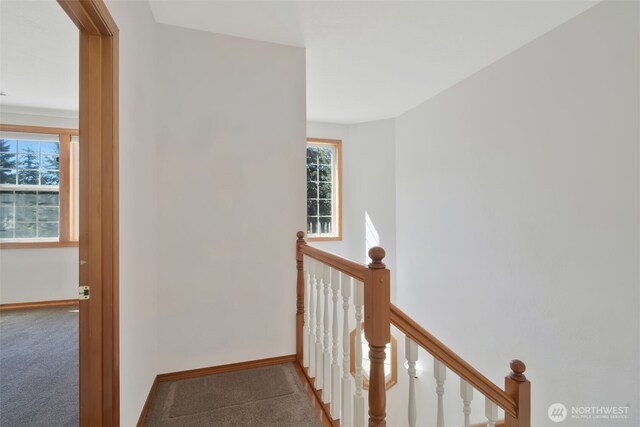 135 Apling Dr, Toledo, WA 98591 - photo 18