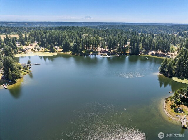 15491 Sidney Rd SW, Port Orchard, WA 98367 - photo 36