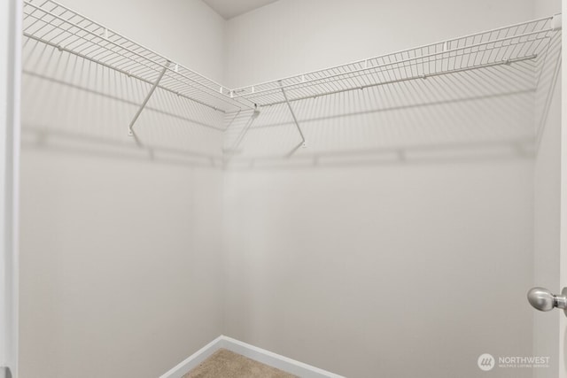 9990 Merrick St SE Unit 348, Yelm, WA 98597 - photo 23