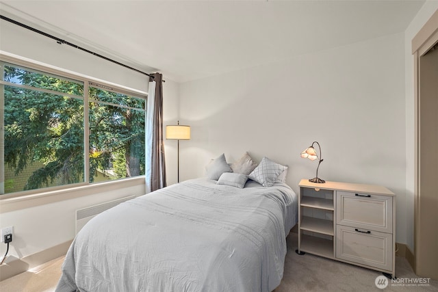 511 100th Ave NE Unit 305, Bellevue, WA 98004 - photo 14