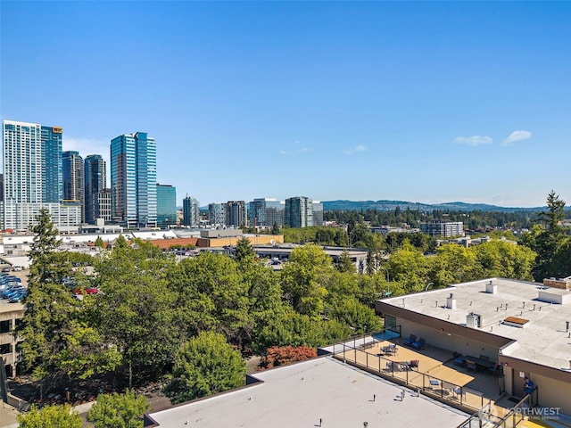 511 100th Ave NE Unit 305, Bellevue, WA 98004 - photo 24