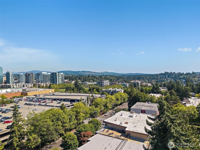 511 100th Ave NE Unit 305, Bellevue, WA 98004 - photo 25