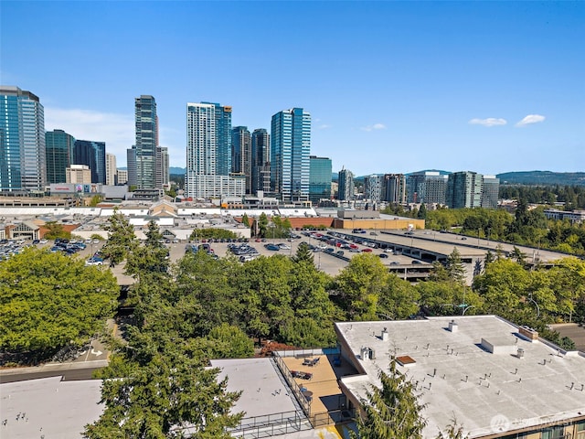 511 100th Ave NE Unit 305, Bellevue, WA 98004 - photo 28