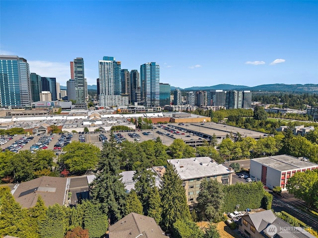 511 100th Ave NE Unit 305, Bellevue, WA 98004 - photo 29