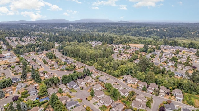 12822 SE 223rd Pl, Kent, WA 98031 - photo 38