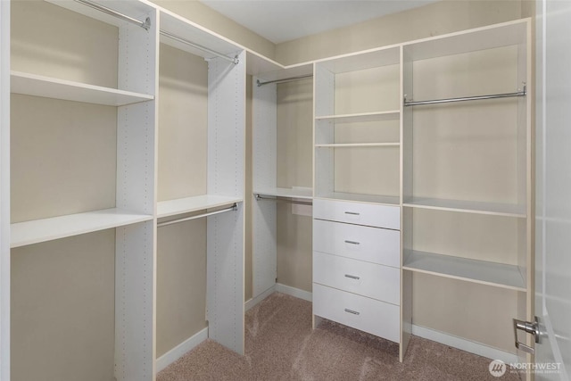 375 Kirkland Ave Unit 327, Kirkland, WA 98033 - photo 20