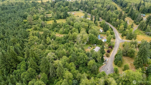 0 Shanklin Rd, Onalaska, WA 98570 - photo 9