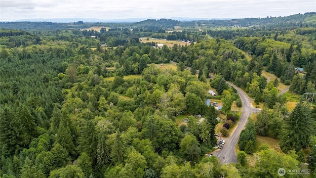 0 Shanklin Rd, Onalaska, WA 98570 - photo 10