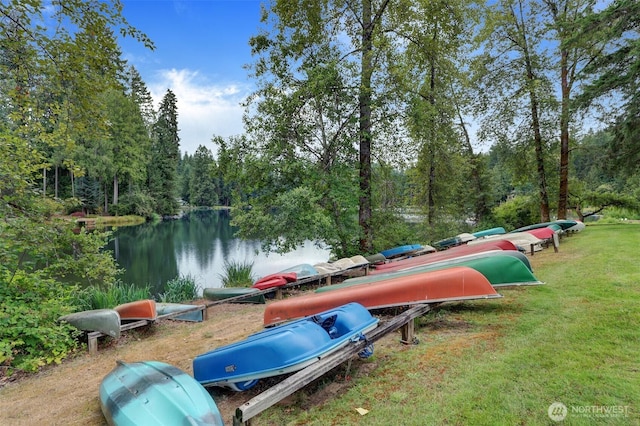 31765 NE 102nd Pl, Carnation, WA 98014 - photo 28