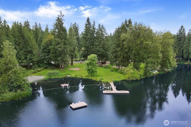 31765 NE 102nd Pl, Carnation, WA 98014 - photo 31