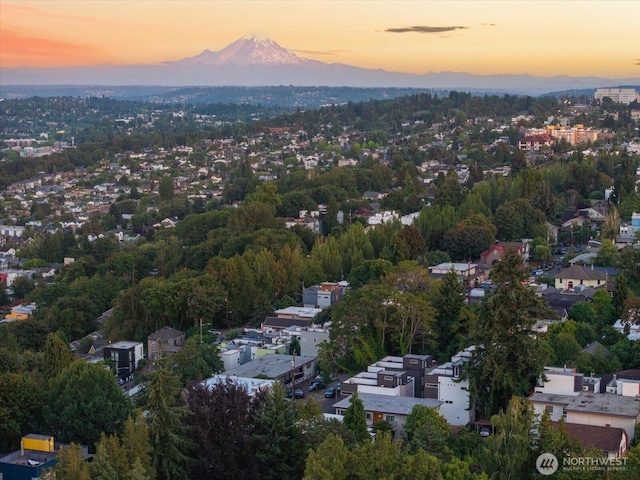 1313 14th Ave S Unit A, Seattle, WA 98144 - photo 3