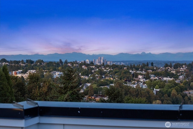 1313 14th Ave S Unit A, Seattle, WA 98144 - photo 7