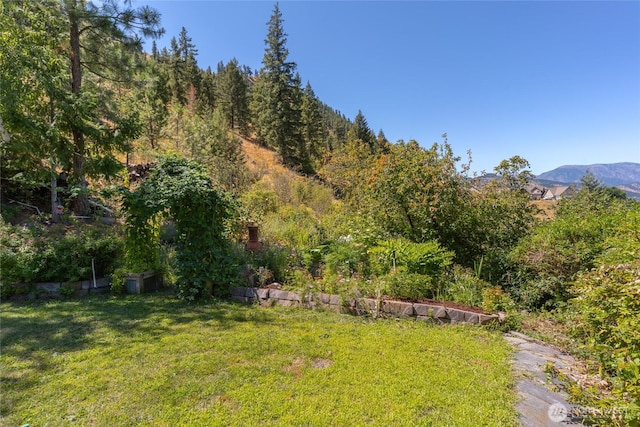 6879 Stine Hill Rd, Cashmere, WA 98815 - photo 21