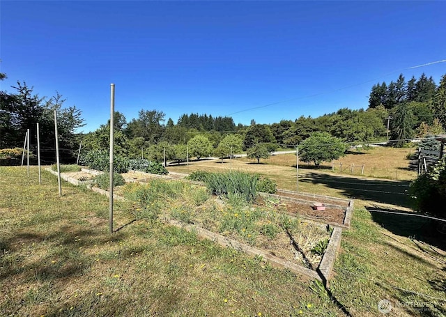 171 Boyd Rd, Mossyrock, WA 98564 - photo 6