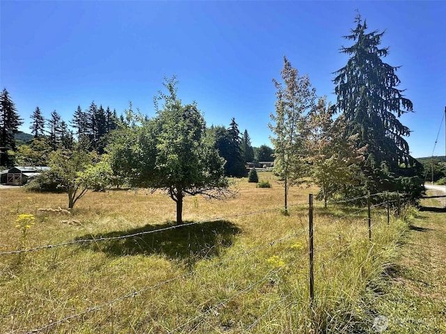 171 Boyd Rd, Mossyrock, WA 98564 - photo 8