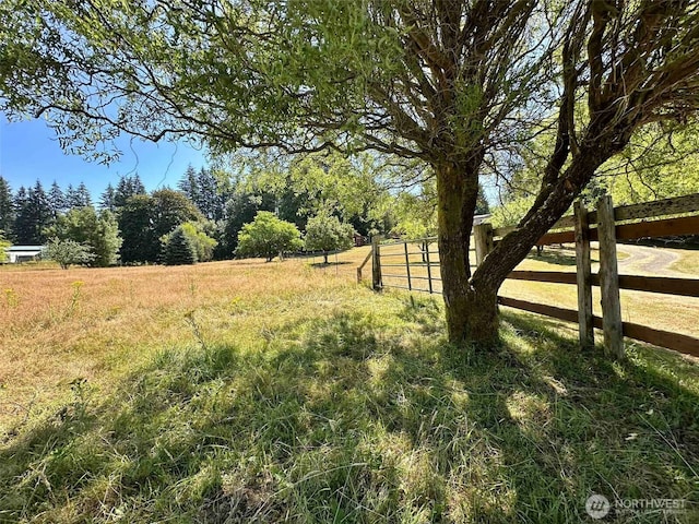 171 Boyd Rd, Mossyrock, WA 98564 - photo 9