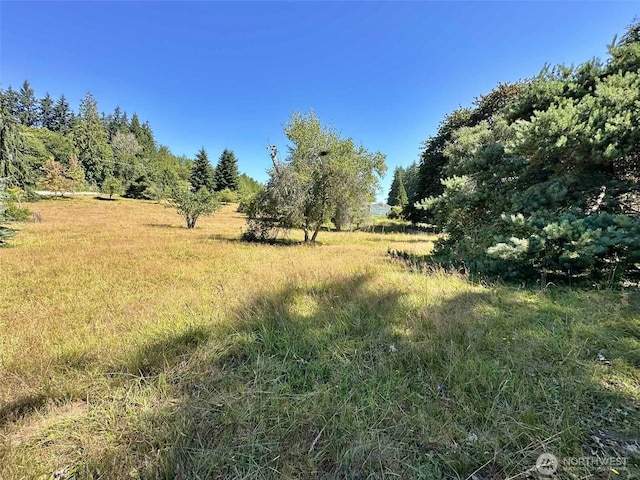 171 Boyd Rd, Mossyrock, WA 98564 - photo 10