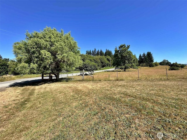 171 Boyd Rd, Mossyrock, WA 98564 - photo 11