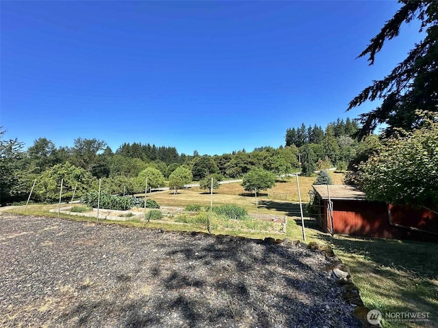 171 Boyd Rd, Mossyrock, WA 98564 - photo 12