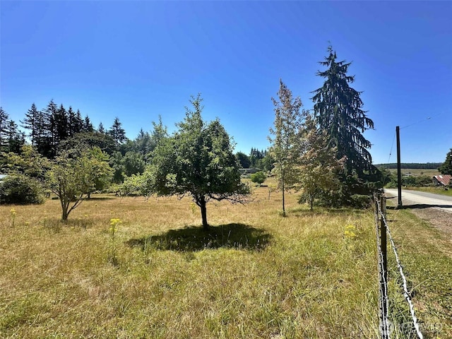 171 Boyd Rd, Mossyrock, WA 98564 - photo 28