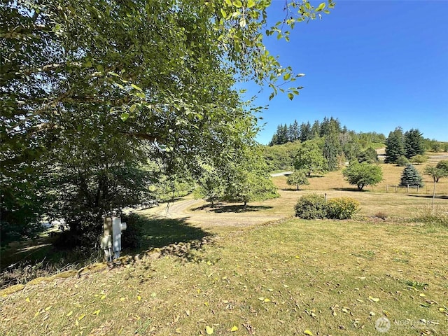 171 Boyd Rd, Mossyrock, WA 98564 - photo 31