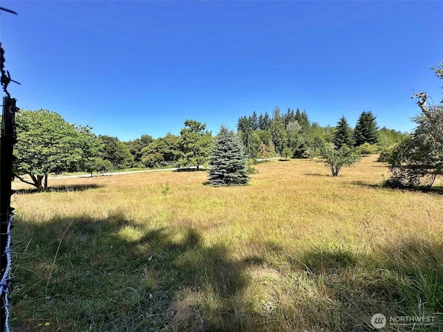 171 Boyd Rd, Mossyrock, WA 98564 - photo 36