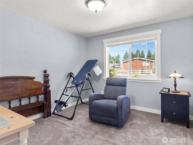 231 NW Maple Ave, Napavine, WA 98565 - photo 19