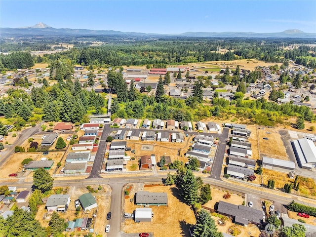 231 NW Maple Ave, Napavine, WA 98565 - photo 33