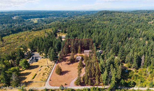 23119 164th St E, Buckley, WA 98321 - photo 38