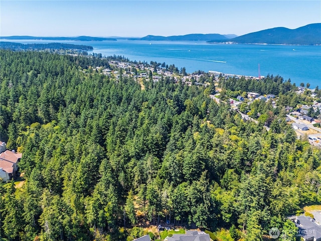 0 17th St, Anacortes, WA 98221 - photo 1