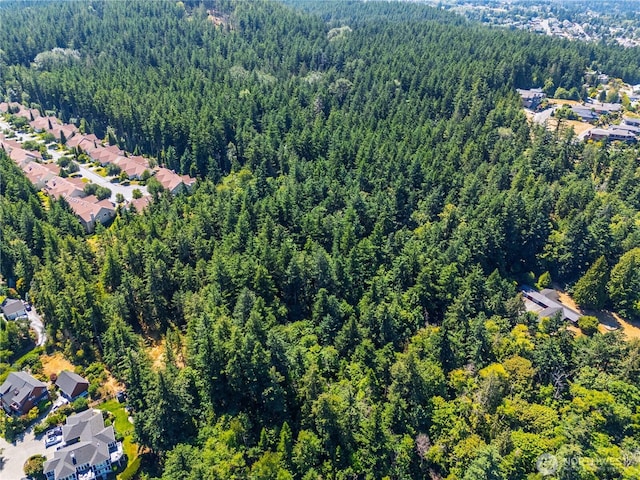 0 17th St, Anacortes, WA 98221 - photo 9