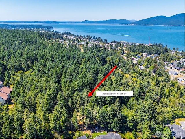 0 17th St, Anacortes, WA 98221 - photo 2