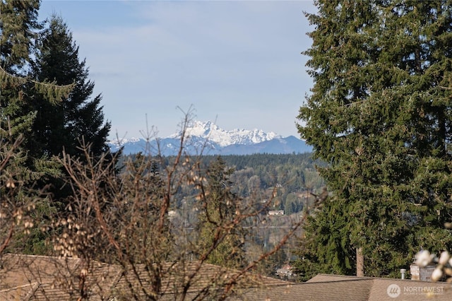 1287 Odin Ct, Poulsbo, WA 98370 - photo 10