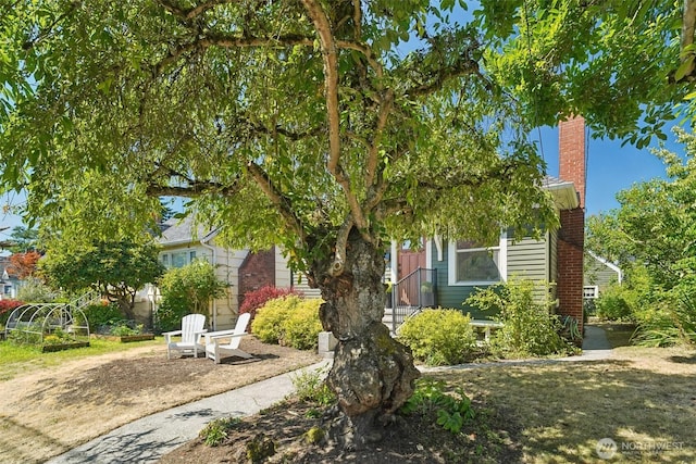 8045 14th Ave NE, Seattle, WA 98115 - photo 33