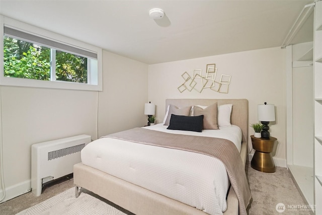 8045 14th Ave NE, Seattle, WA 98115 - photo 29